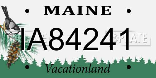 IA84241 Maine License Plate