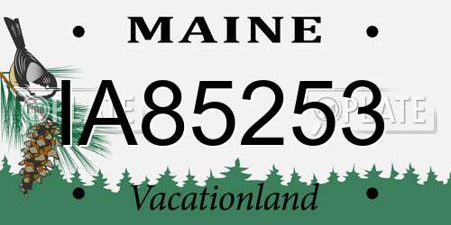 IA85253 Maine License Plate