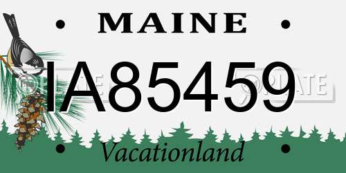 IA85459 Maine License Plate