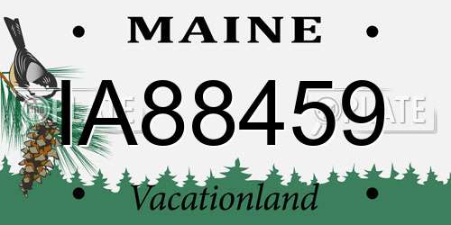 IA88459 Maine License Plate