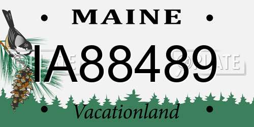 IA88489 Maine License Plate