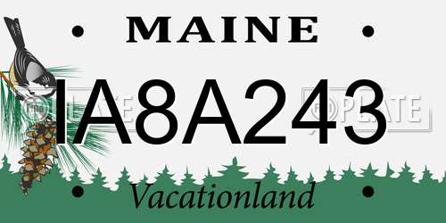 IA8A243 Maine License Plate