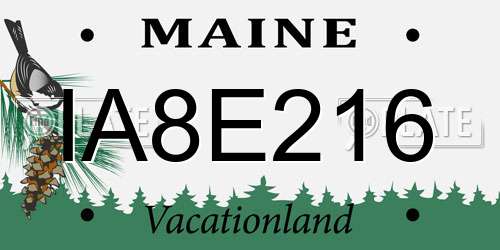 IA8E216 Maine License Plate