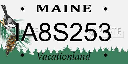 IA8S253 Maine License Plate