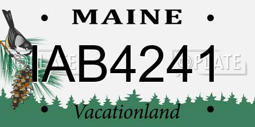 IAB4241 Maine License Plate