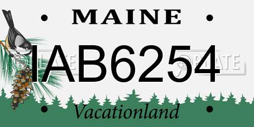 IAB6254 Maine License Plate