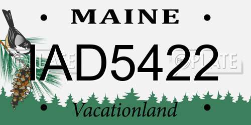IAD5422 Maine License Plate