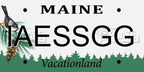 IAESSGG Maine License Plate