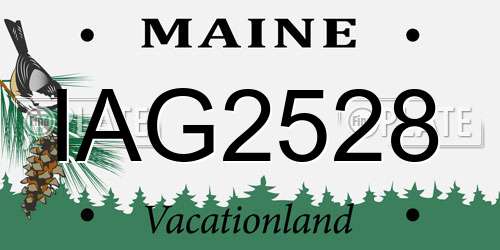IAG2528 Maine License Plate