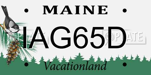 IAG65D Maine License Plate