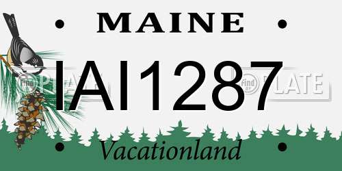 IAI1287 Maine License Plate