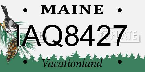 IAQ8427 Maine License Plate