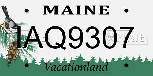 IAQ9307 Maine License Plate