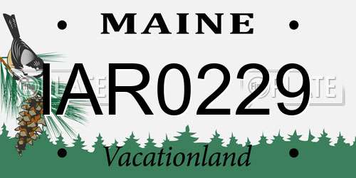 IAR0229 Maine License Plate