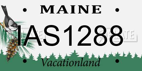 IAS1288 Maine License Plate
