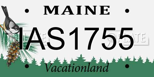 IAS1755 Maine License Plate