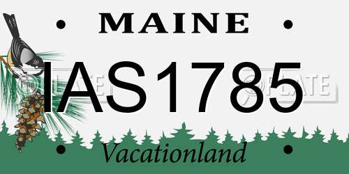 IAS1785 Maine License Plate