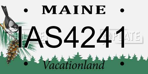 IAS4241 Maine License Plate