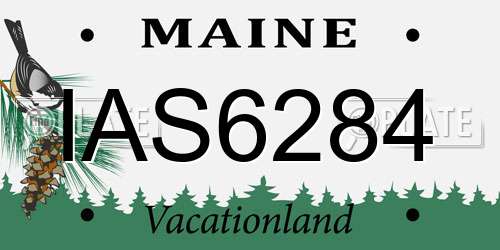IAS6284 Maine License Plate