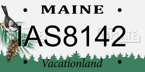 IAS8142 Maine License Plate