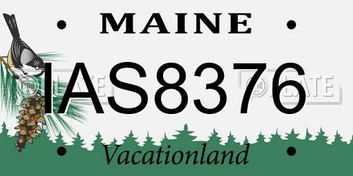 IAS8376 Maine License Plate