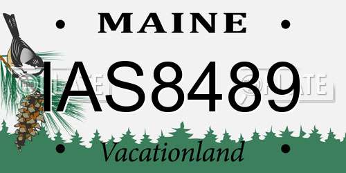 IAS8489 Maine License Plate