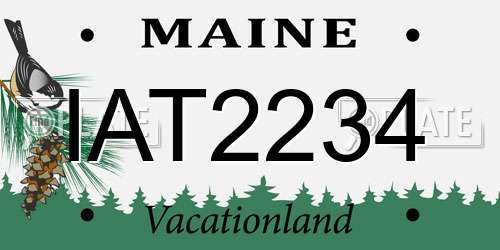 IAT2234 Maine License Plate