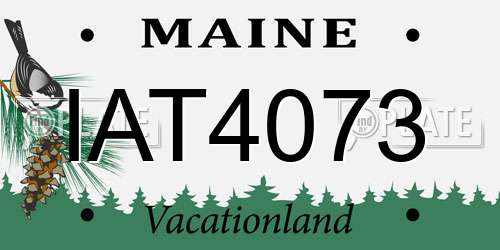 IAT4073 Maine License Plate
