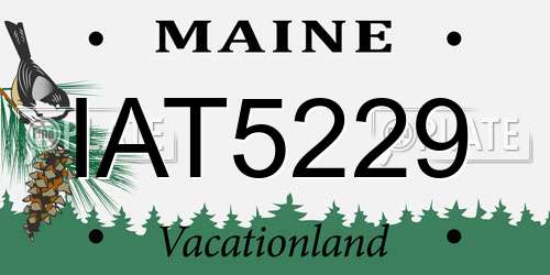 IAT5229 Maine License Plate