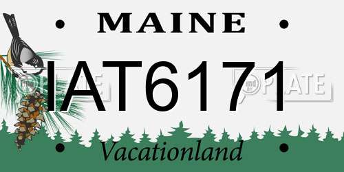 IAT6171 Maine License Plate