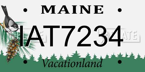 IAT7234 Maine License Plate
