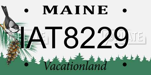 IAT8229 Maine License Plate