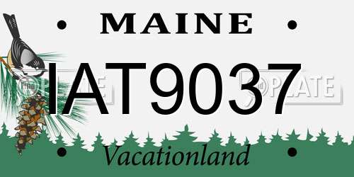 IAT9037 Maine License Plate