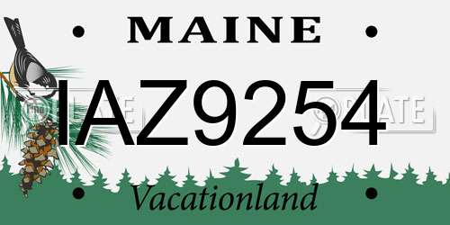 IAZ9254 Maine License Plate