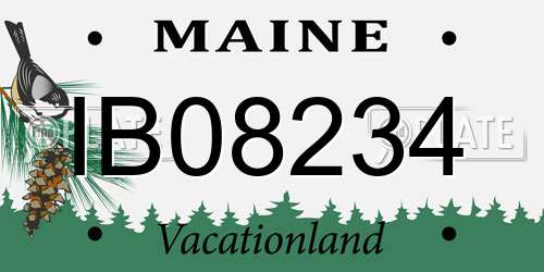 IB08234 Maine License Plate