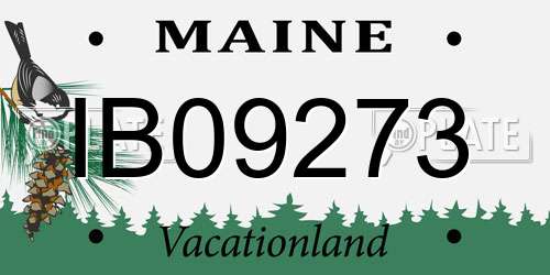 IB09273 Maine License Plate