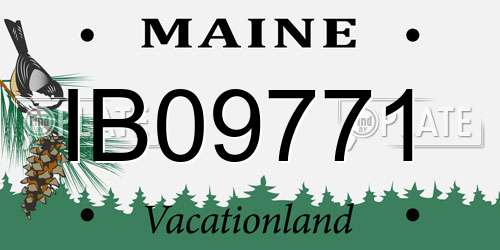 IB09771 Maine License Plate