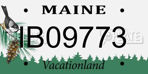 IB09773 Maine License Plate