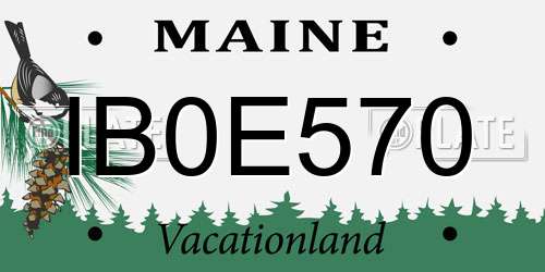 IB0E570 Maine License Plate