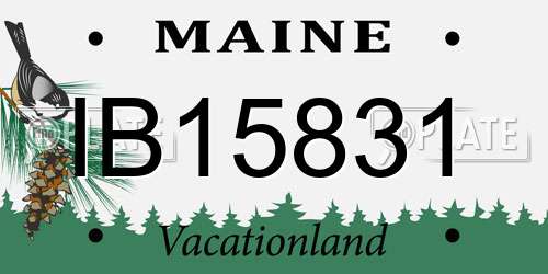 IB15831 Maine License Plate