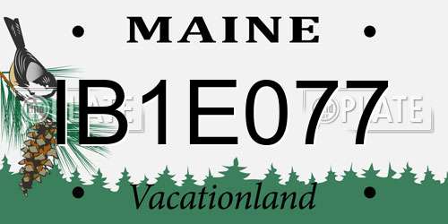 IB1E077 Maine License Plate
