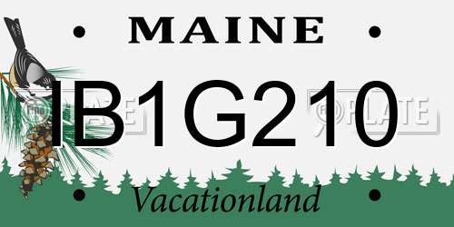 IB1G210 Maine License Plate
