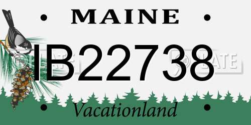 IB22738 Maine License Plate