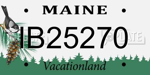 IB25270 Maine License Plate