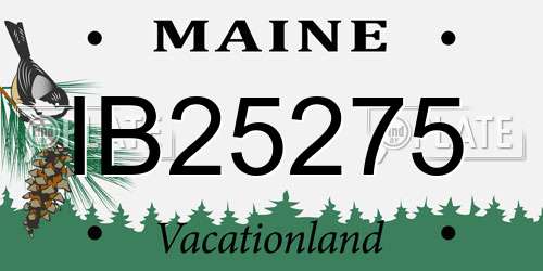 IB25275 Maine License Plate