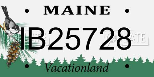 IB25728 Maine License Plate