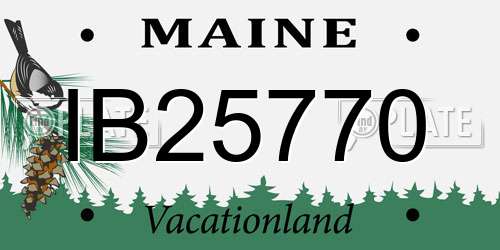 IB25770 Maine License Plate