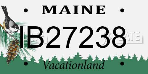 IB27238 Maine License Plate