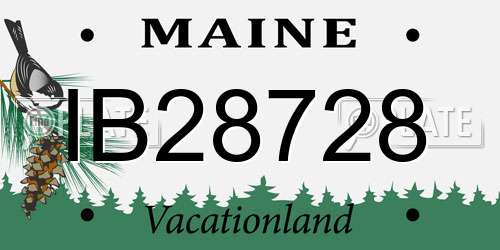 IB28728 Maine License Plate