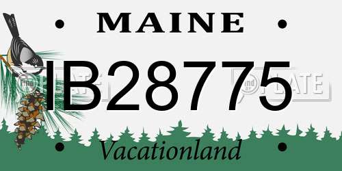 IB28775 Maine License Plate